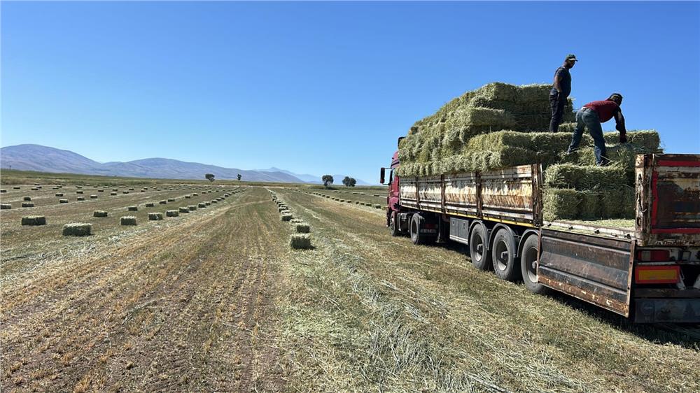 Talas Belediyesi’nden yem desteği Talas Belediyesi’nden yem desteği