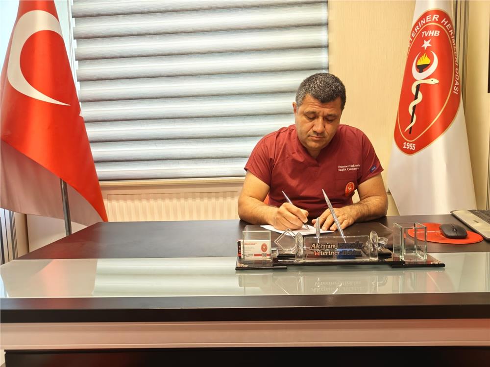"Yılan ısırmasında sakin kalın"