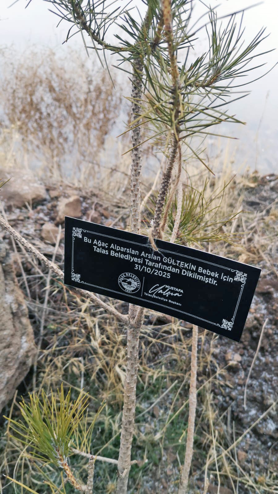 Talas Belediyesi’nden geleceğe nefes: Her bebek için bir fidan