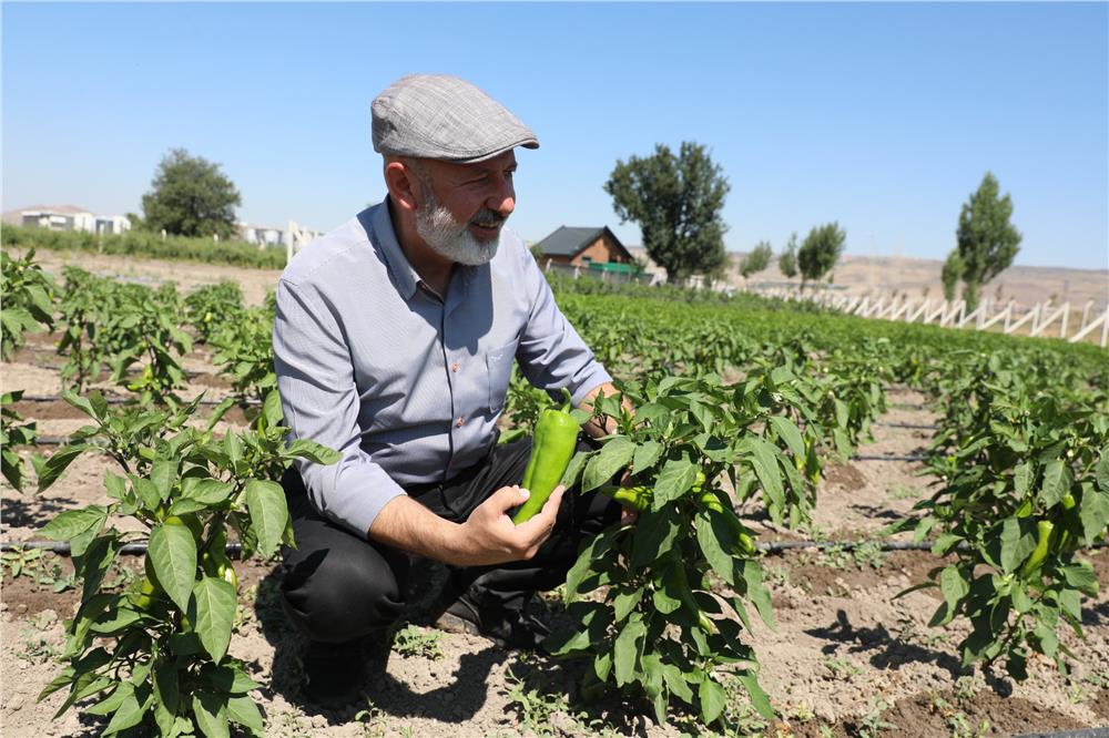 Çolakbayrakdar: Toprağımıza bereket, çiftçimize yeni kazanç kapısı açıyoruz