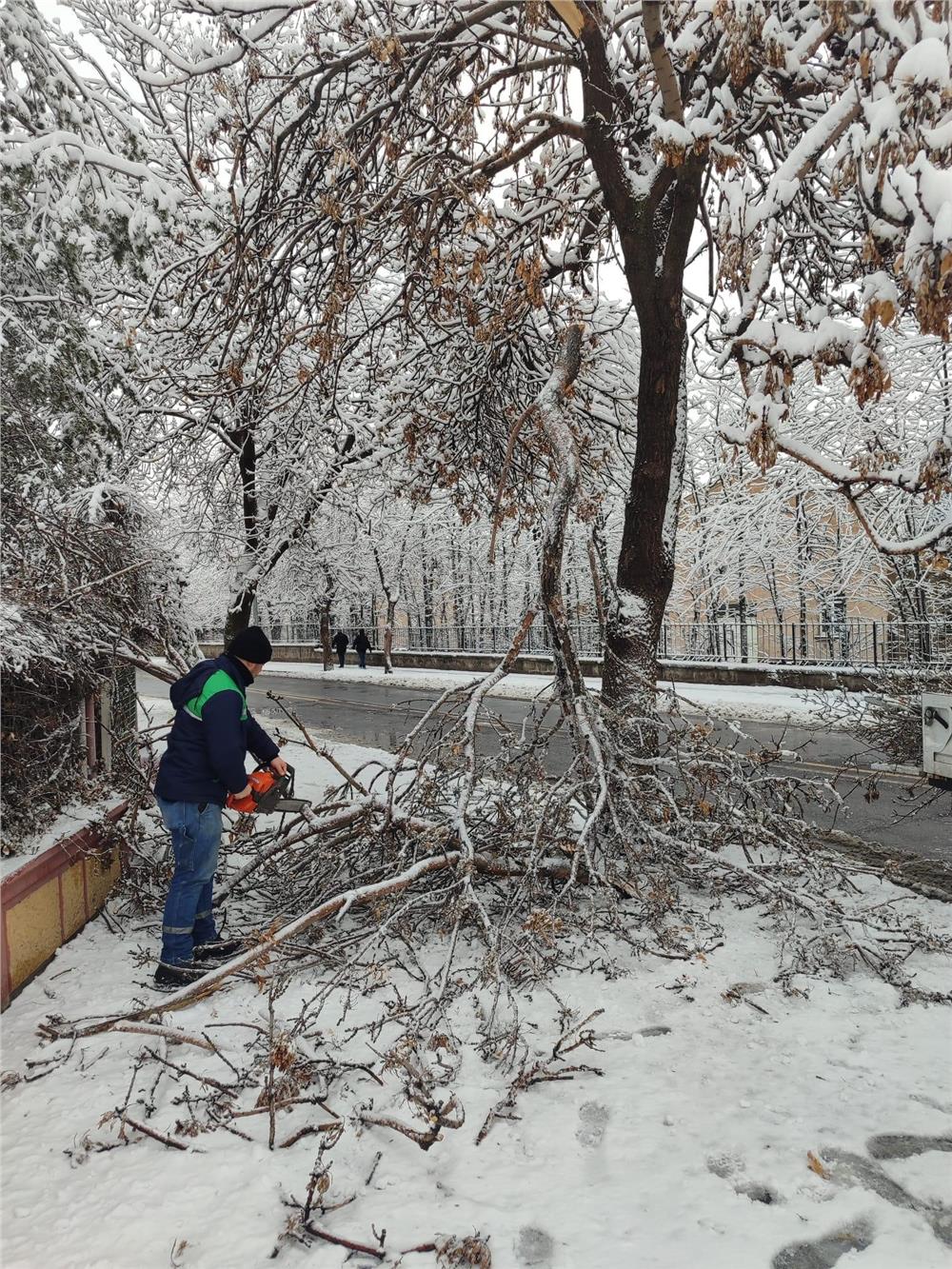 Kayseri Büyükşehir'den kış çalışmalarında ağaç güvenliği seferberliği