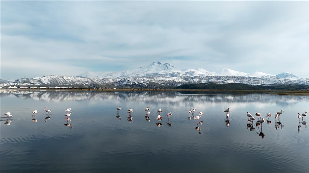 kayseri