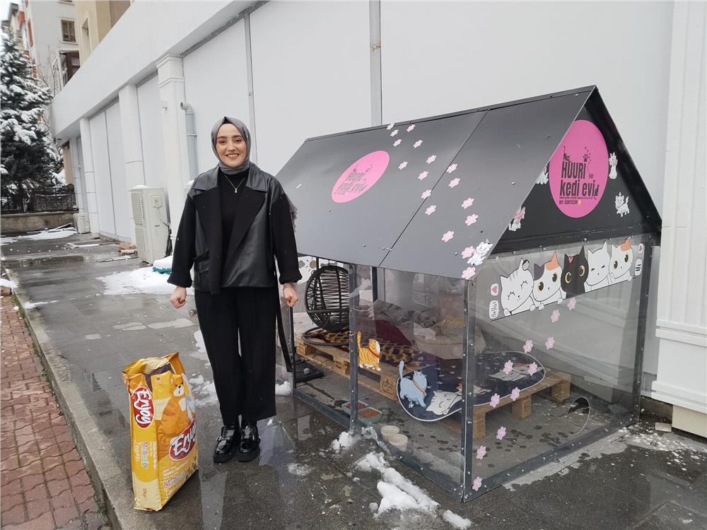 Soğuk kış günlerinde kediler için ısıtmalı yuva yaptılar