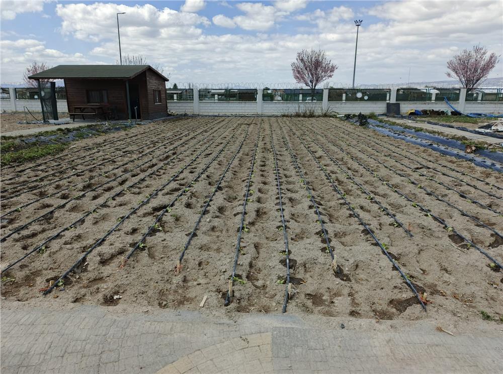 Büyükşehirin Doğal Ürünler Bahçesi ve Pazarı’nda yeni sezon hazırlığı başladı