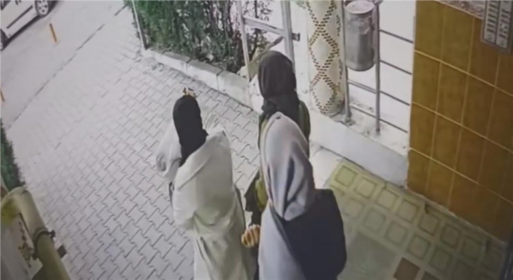 Ev fareleri kameraya yakalandı