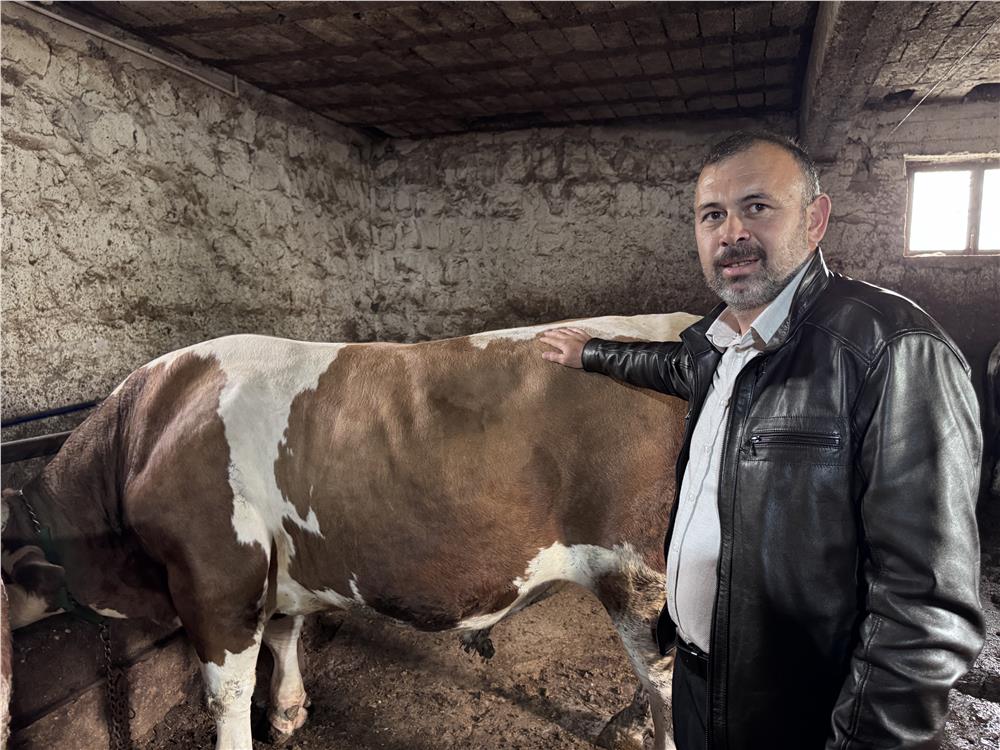 1 tonluk 'Kocaoğlan' alıcısını bekliyor