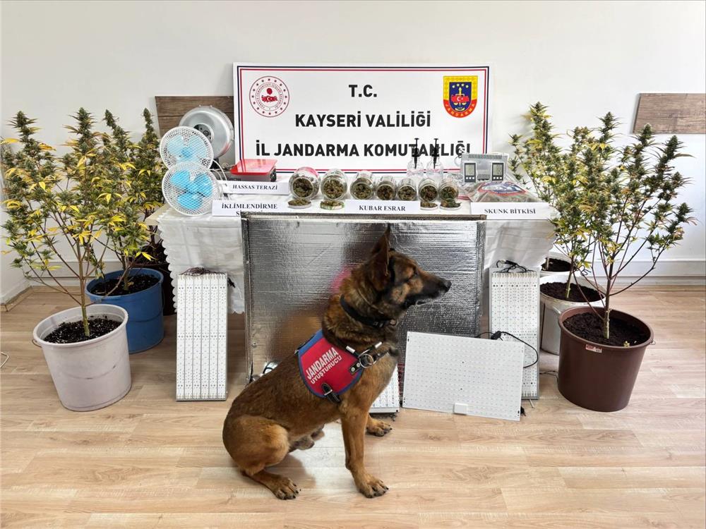 Kayseri